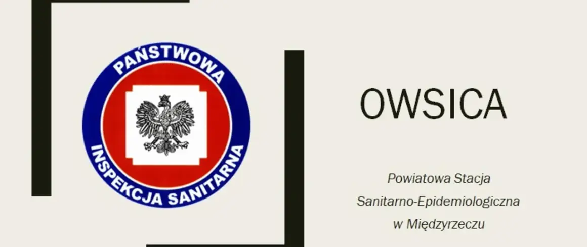 Owsica - czy owsiki są groźne? Logo Państwowej Inspekcji Sanitarnej i nazwa placówki.