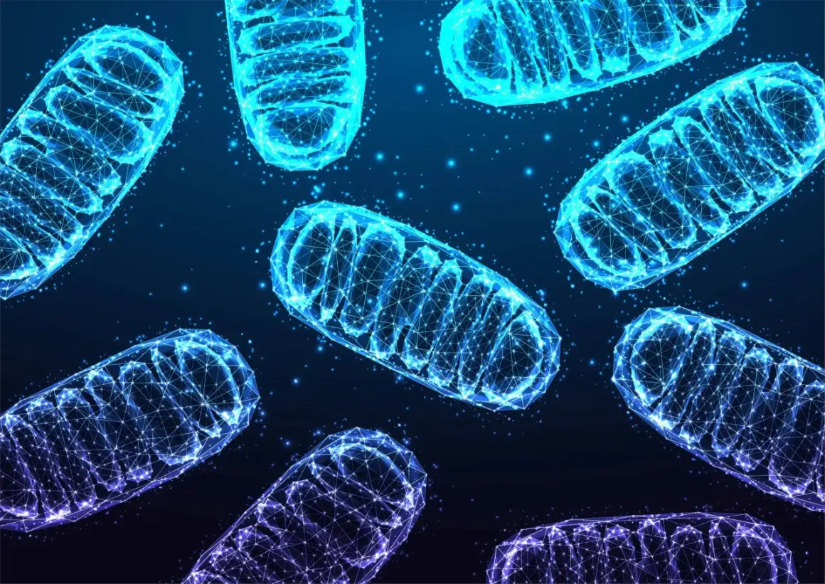 Siatka geometryczna przedstawiająca budowę mitochondrium, świecąca na niebiesko i fioletowo na ciemnym tle.