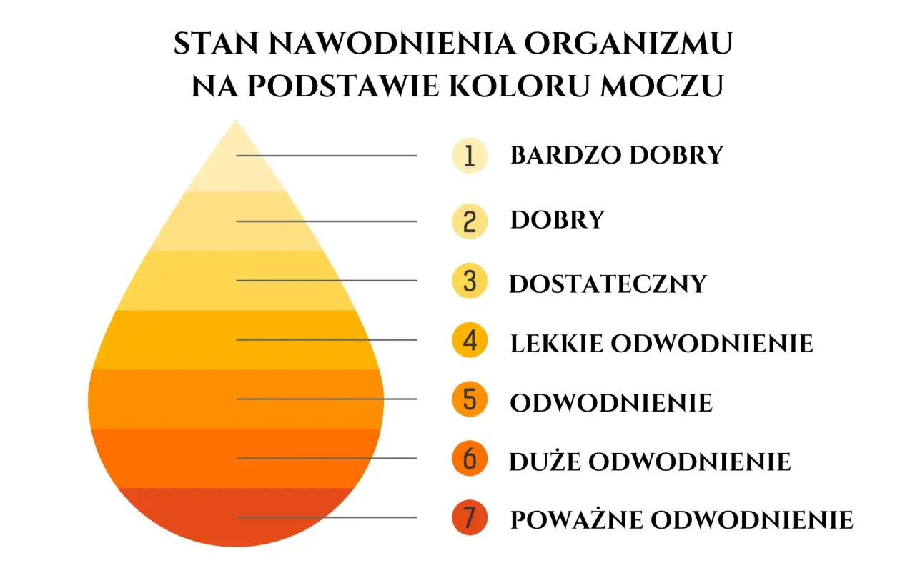 Jak sprawdzić ile wody jest w organizmie? Kolor moczu od jasnożółtego do pomarańczowego wskazuje na nawodnienie.