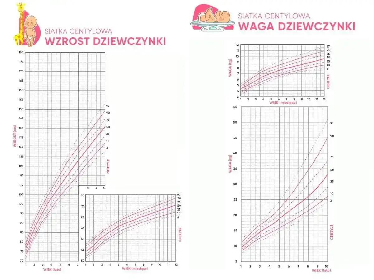 Siatki centylowe dla dziewczynek: wzrost i waga. Sprawdź, ile powinien ważyć 4-latek.