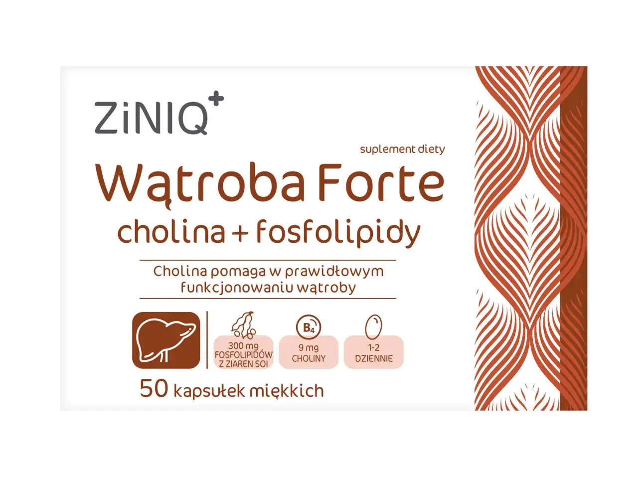 Suplement diety ZiNiQ+ Wątroba Forte zawiera cholinę, która wspiera prawidłowe funkcjonowanie wątroby. Opakowanie zawiera 50 kapsułek.