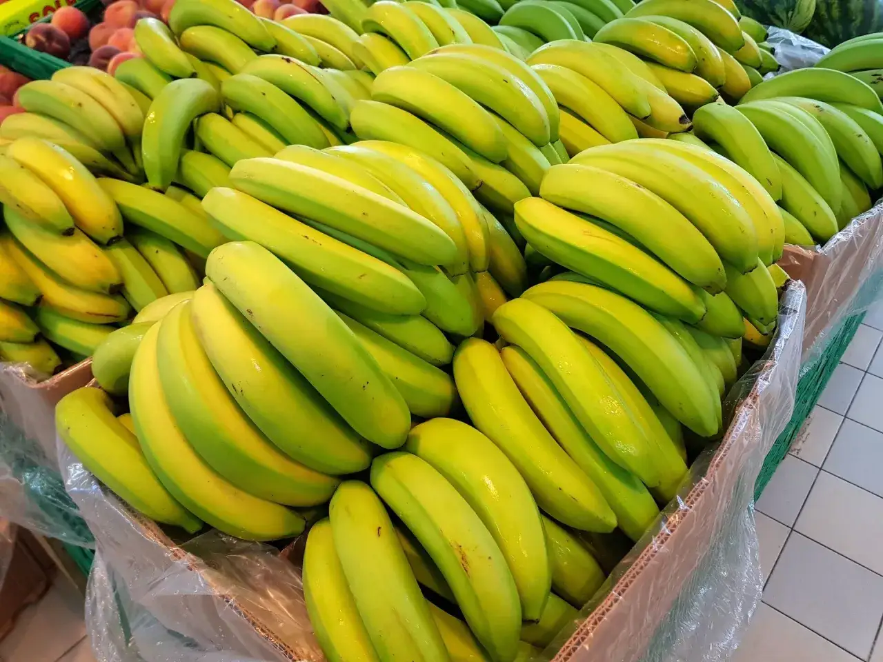 Duże skrzynie pełne zielonych bananów, które mogą być zdrowe. Ich świeży wygląd zachęca do zakupu.
