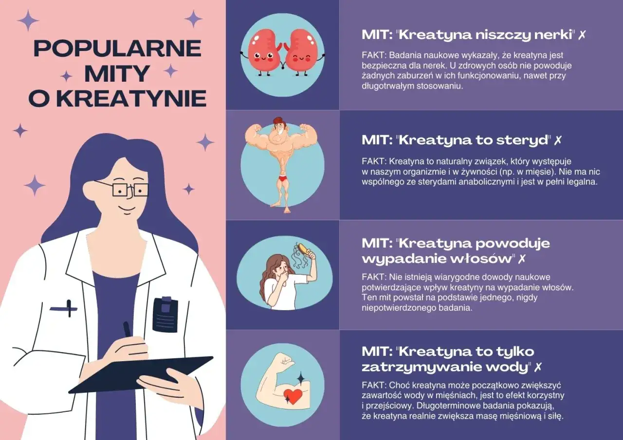 Kreatyna a nerki: badania naukowe dowodzą, że jest bezpieczna dla zdrowych osób. Grafika obala popularne mity o kreatynie.