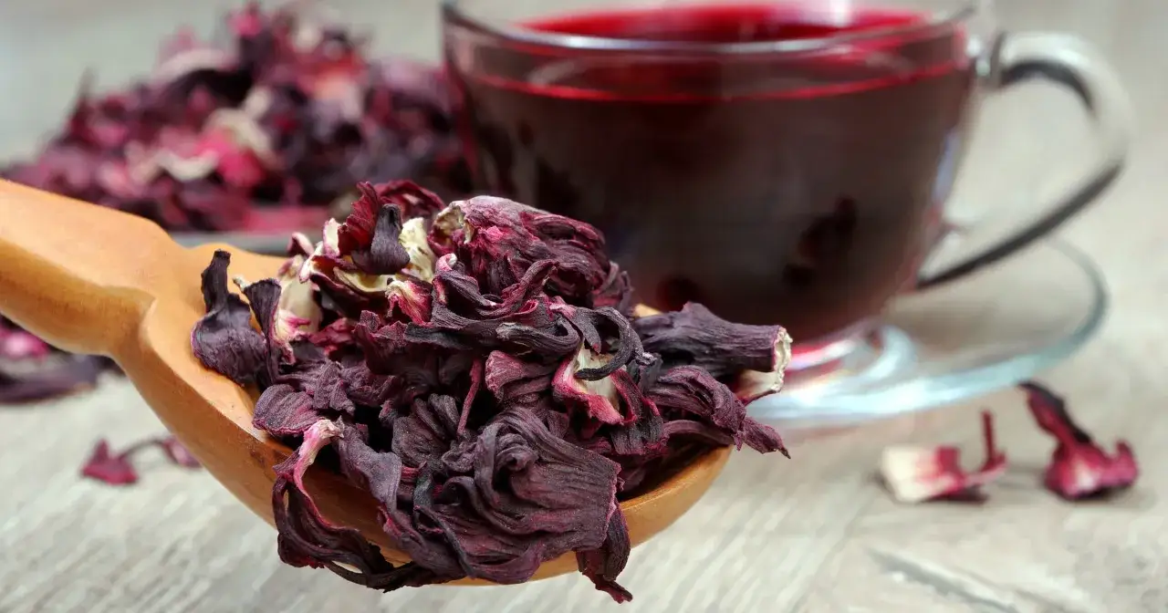 Suszone płatki hibiskusa na drewnianej łyżce i kubek z naparem. Odkryj niezwykłe właściwości hibiskusa.