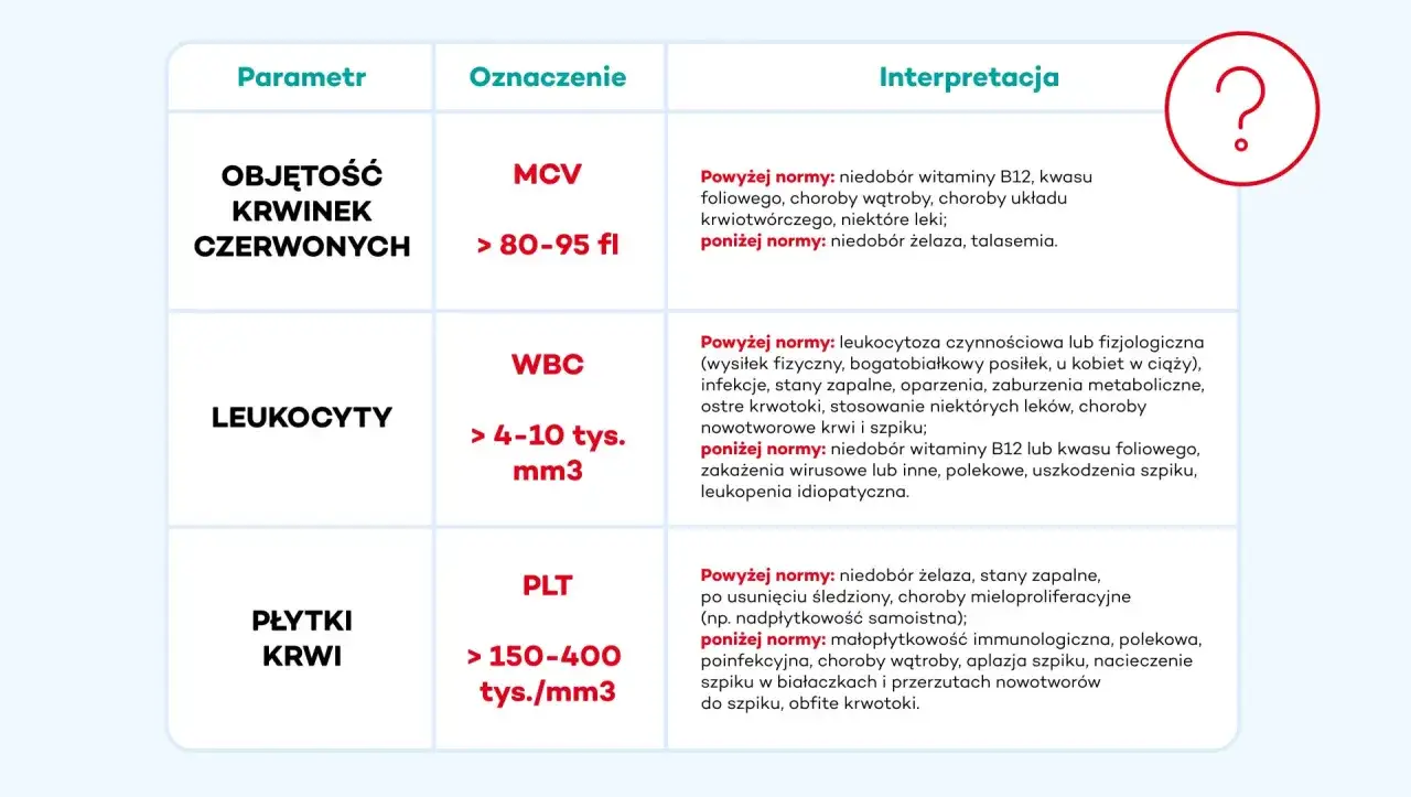 Tabela interpretacji parametrów krwi: MCV, WBC, PLT. Podwyższona hemoglobina może być związana z niedoborem witaminy B12 lub kwasu foliowego.