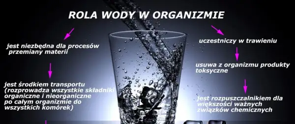 Woda w organizmie: niezbędna do przemiany materii, transportu, trawienia, usuwania toksyn. Jak sprawdzić ile wody jest w organizmie? Pij ją regularnie!