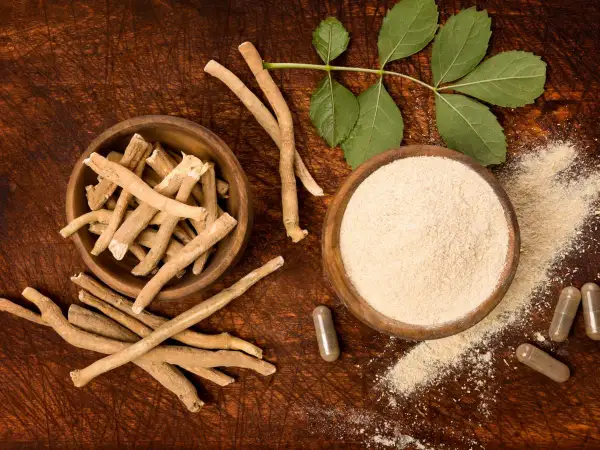 Korzeń i proszek z ashwagandhy, znanej jako adaptogen. Obok kapsułki i liście rośliny.