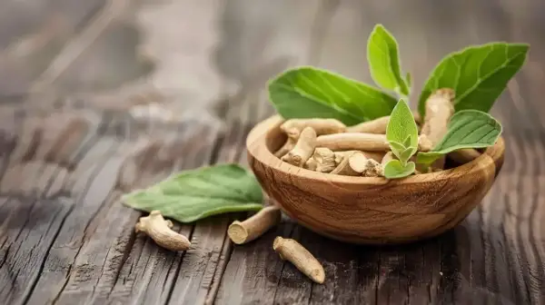 Korzeń ashwagandhy w drewnianej misce, z liśćmi. Naturalne wsparcie dla osób z Hashimoto.