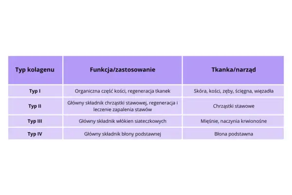 Tabela przedstawia różne **kolagen typy**: I (kości, skóra), II (chrząstki stawowe), III (mięśnie) i IV (błony).
