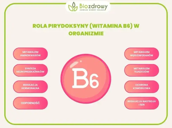 Witamina B6, kluczowa dla suplementów na układ nerwowy, wspiera syntezę neuroprzekaźników, metabolizm i regulację nastroju.