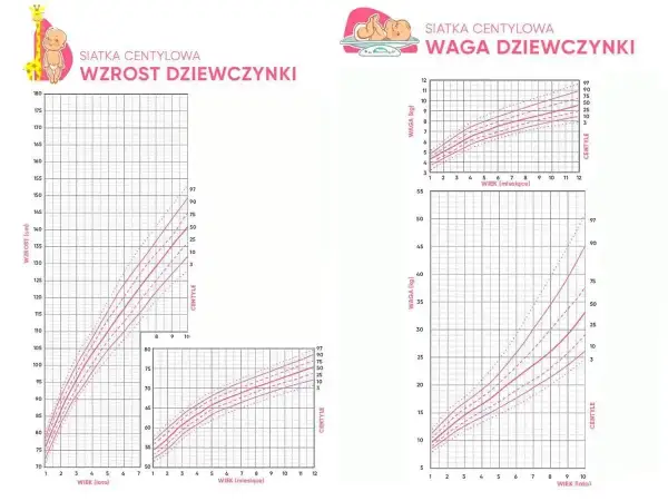 Siatki centylowe dla dziewczynek: wzrost i waga. Sprawdź, ile powinien ważyć 4 latek.