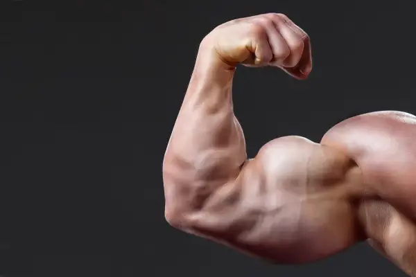 Mięsień bicepsa kulturysty. Zastanawiasz się, ile węglowodanów na masę jest potrzebne, by osiągnąć taki efekt?