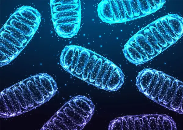 Siatka geometryczna przedstawiająca budowę mitochondrium, świecąca na niebiesko i fioletowo na ciemnym tle.