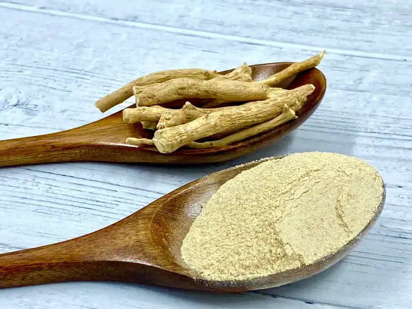 Korzeń ashwagandhy i proszek na drewnianych łyżkach. Czy ashwagandha a karmienie piersią to bezpieczne połączenie?